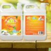 Nước rửa chén cao cấp Alvin 1800ml hương cam